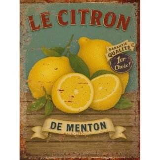 Plaque déco Le citron en aluminium humour rigolo fun rétro vintage