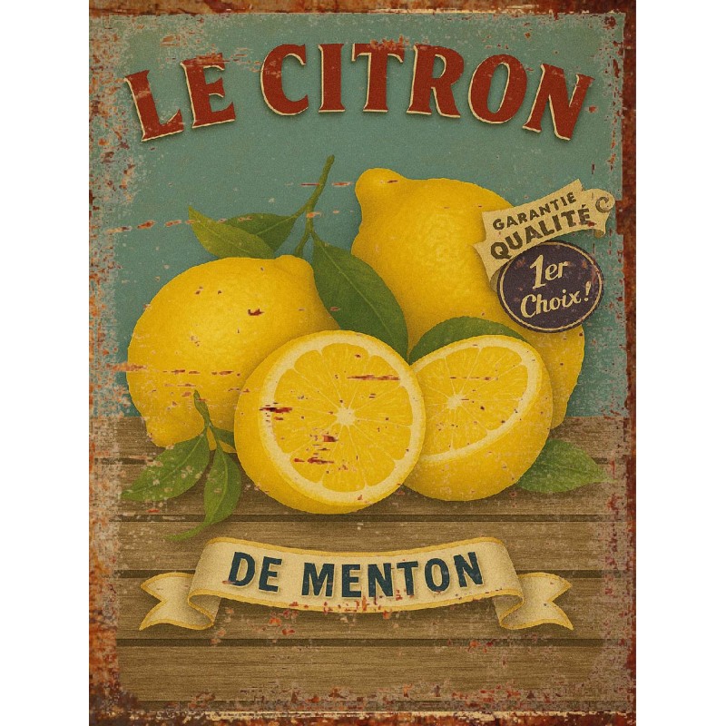 Plaque déco Le citron en aluminium humour rigolo fun rétro vintage