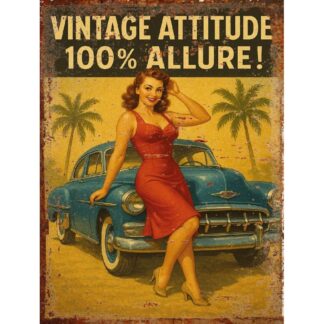 Plaque déco Pin-Up Vintage attitude en aluminium humour rigolo fun rétro vintage