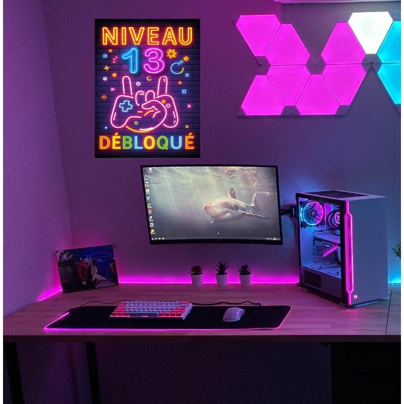 Plaque Métal Anniversaire Enfant Garçon Fille 13Ans – “Niveau 13 Débloqué” – Déco Gamer Effet Néon Rétro – – Image 2