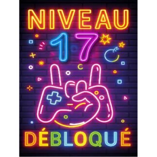 Plaque Métal Anniversaire Enfant Garçon Fille 17 Ans – “Niveau 17 Débloqué” – Déco Gamer Effet Néon Rétro –