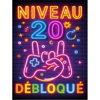 Plaque Métal Anniversaire Enfant Garçon Fille 20 Ans – “Niveau 20 Débloqué” – Déco Gamer Effet Néon Rétro –