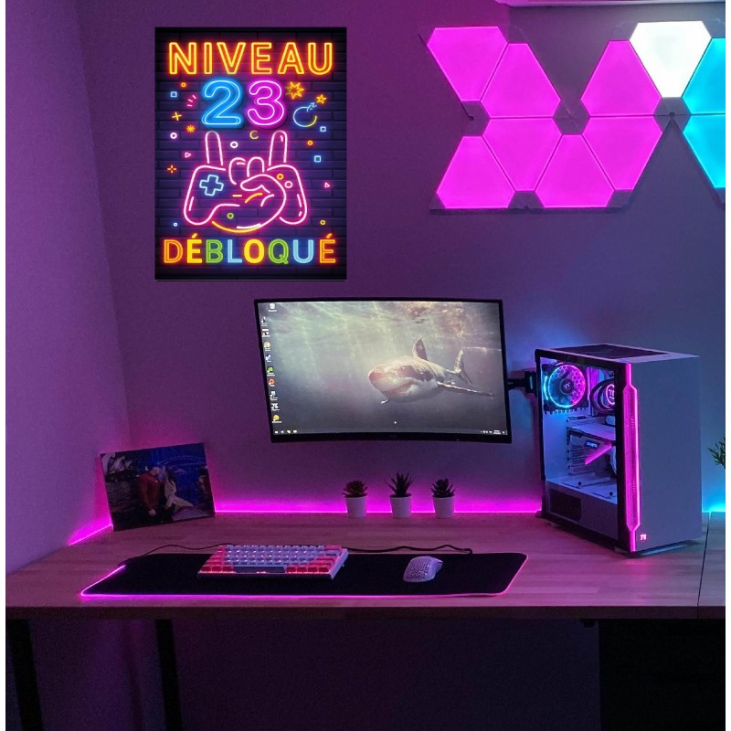 Plaque Métal Anniversaire Enfant Garçon Fille 23 Ans – “Niveau 23 Débloqué” – Déco Gamer Effet Néon Rétro – – Image 2