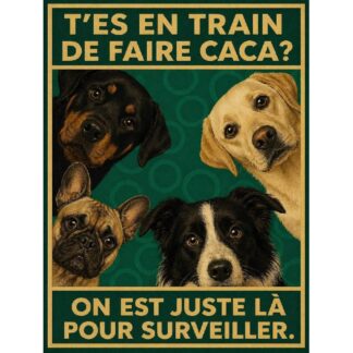Plaque métal humour WC chien « T’es en train de faire caca ? »