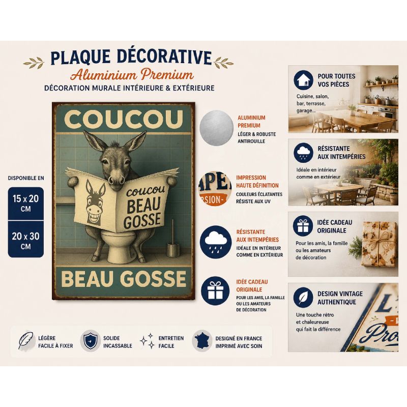 Plaque Métal Vintage Coucou Beau Gosse – Décoration WC / Salle de Bain – Humour Ane sur les Toilettes – Image 2