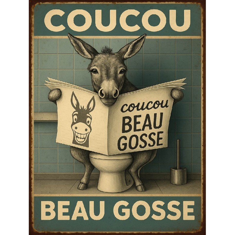 Plaque Métal Vintage Coucou Beau Gosse – Décoration WC / Salle de Bain – Humour Ane sur les Toilettes